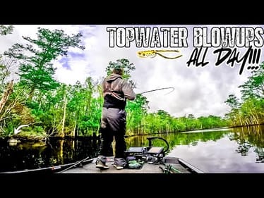 Throwing TOPWATER ALL DAY In a BASS TOURNAMENT!!! || Little River, NC