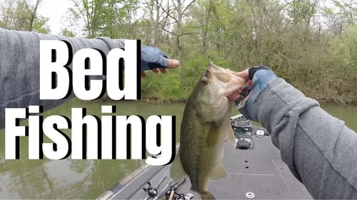 BED FISHING For BASS (TICK Them Off)