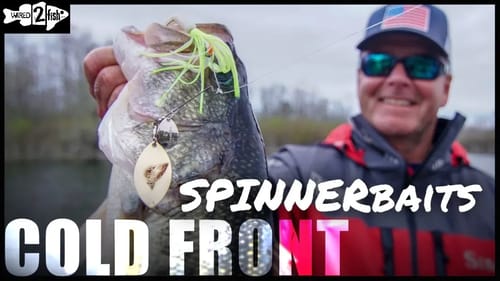 How Spinnerbaits Excel for Springtime Cold Front Bass