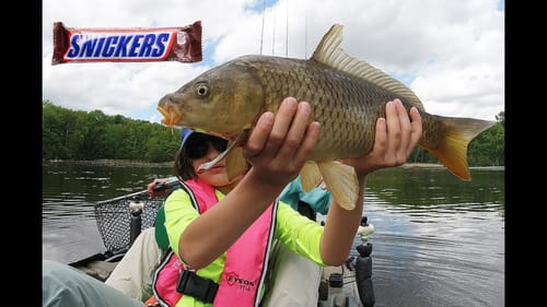 Nonstop carp action - kayak fishing (The Lucky Snickers Bar)