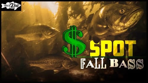Key Spots for Kicker Bass -  Summer to Fall Transition