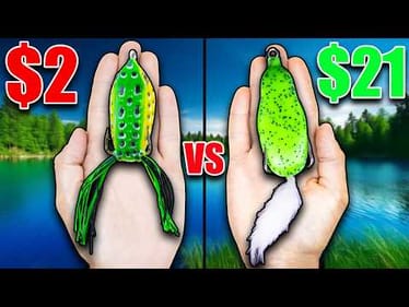 $2 vs $21 Frog Fishing Challenge