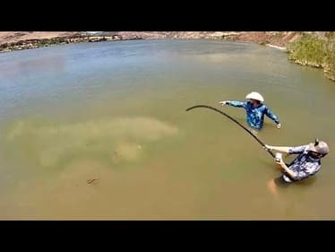 The BIGGEST FRESHWATER FISH CAUGHT ON YOUTUBE?! (600 LBS)