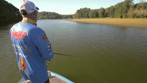 Catching Bass near Grass with Crankbaits