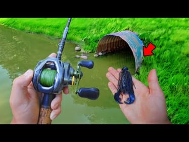 Fishing Small HIDDEN PONDS For BIG Bass! (Bank Fishing)