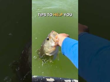 Fishing in Windy Weather: Tips for Finding More Fish #fishing