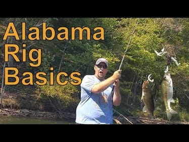 How to Fish The Alabama Rig - For the Beginner