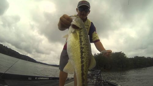 Fishing Lake Lanier (Fish Head Spin Basics)