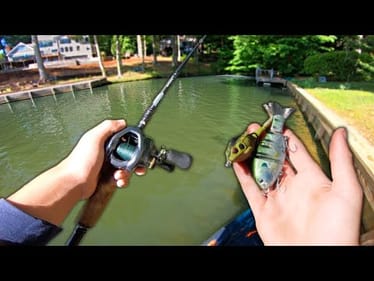 FISHING TOPWATER and SWIMBAITS for BIG Post-Spawn BASS! (Kayak fishing)