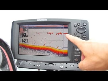 How to Find Bass on One of These Things - Summer Fishing Tips