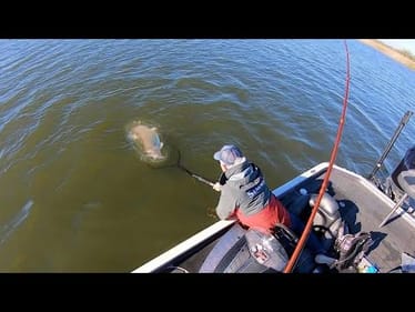This SNAG  CAME TO LIFE!! (50 LBS)