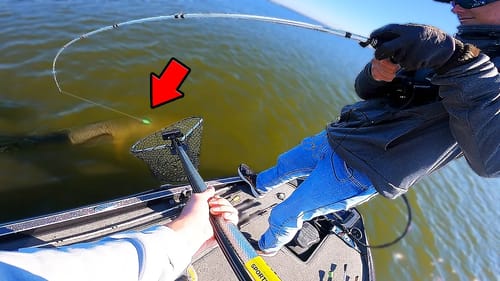 We Thought He Had A Tree... Then He Caught His BIGGEST FISH!