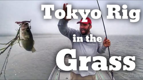 Tokyo Rig - How to Punch and Fish the Grass
