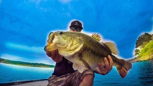 9 1/2 POUND PB BASS FOR 9.5K SUBS!!! MONSTRO BEHEMOTH on the 6th Sense DIVINE SWIMJIG! HEATERS ONLY!