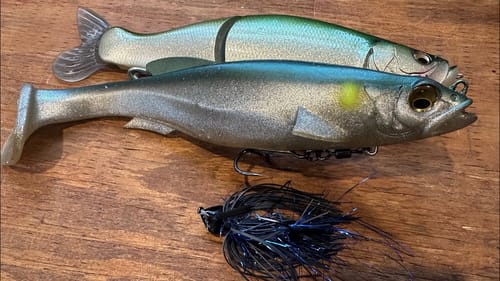 Catch Your PB Bass With THESE 2 Lures