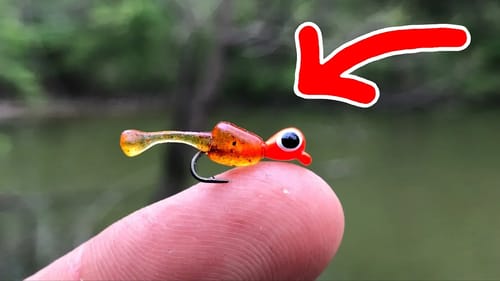 MICROSCOPIC Lure Challenge!!! (Surprising Results)
