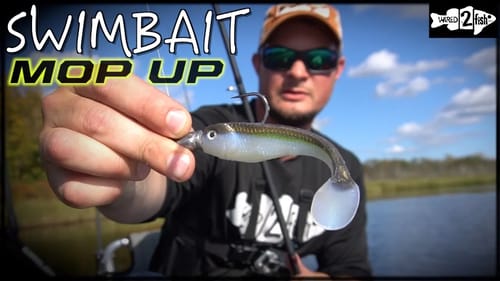 Mopping Up Bass Using Paddle Tail Swimbaits