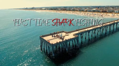 SHARK CAUGHT on 12 POUND LINE!!!