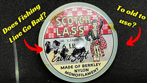 How Old Is To Old For Fishing Line? Does It Go Bad Over Time?