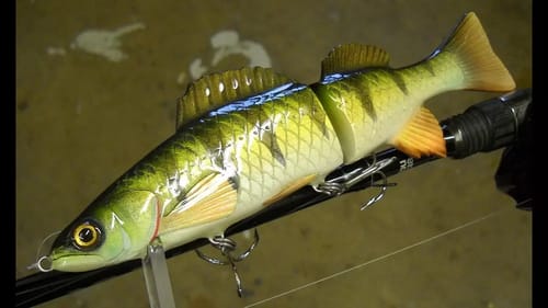 Making a Perch SwimBait