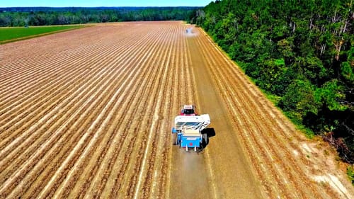 Harvesting Peanuts and New Farm Pond Update!