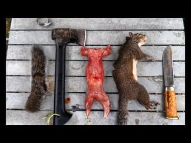 Hunting TN GRAY SQUIRREL  [Ep 1]