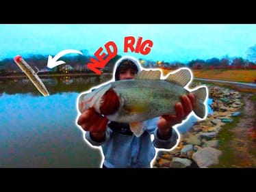This BAIT NEVER Skunks! (All Day Of Fishing Pays Off with BIG BASS