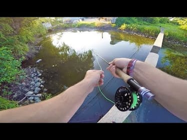 The Best Way to Find NEW Fishing Spots and Catch Fish!