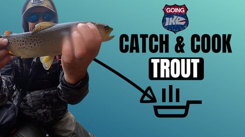 CATCH & COOK TROUT! (2022)