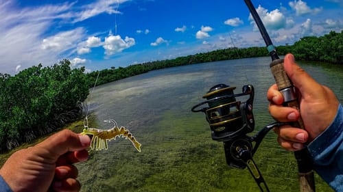 Fishing Whitebaits & Artificials in the Florida Keys Back Water