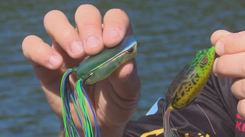 Summer Topwater Fishing | Bass Fishing