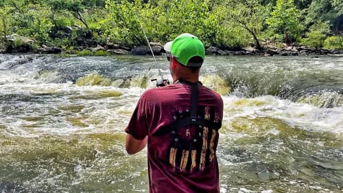 These Fish Were Hiding in Fast Water