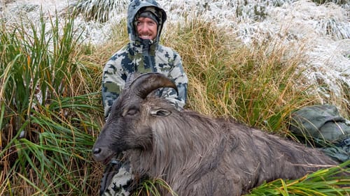 Hunting Tahr with Rifle in New Zealand | BULL TAHR DOWN!!!
