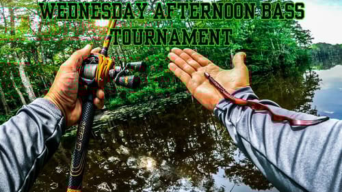 Afternoon BASS TOURNAMENT On MUDDY RIVER