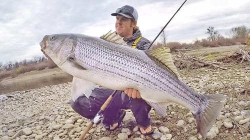 How To Catch Giant Fish From Shore