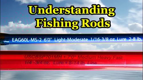 Understanding Fishing Rods and Basics of How to Buy a Fishing Pole