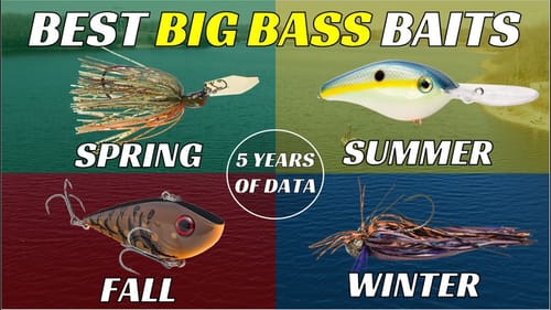 Best Lures for Big Bass Backed By 5 Years Of Data | All Seasons Explained