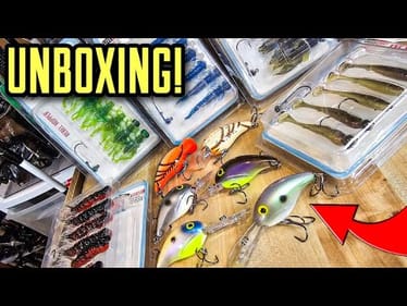 Awesome NEW Plastics & CRAZY Crankbaits!