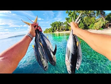 Fists Full Of Fish - CATCH & COOK In Paradise