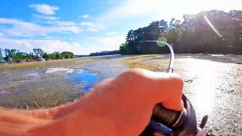 Fishing Grass on Guntersville During Fall Transition For Big Bass! (Frogging Mats)