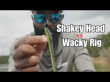 THE SECRET- Shakey Head Catch More Bass than WACKY RIGS