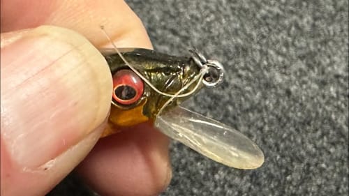 I’m Glad Nobody Uses THIS Jerkbait Color…