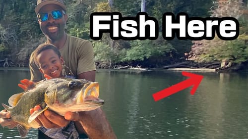 You Need To Go Fishing Here! (Flint River Bass Fishing)