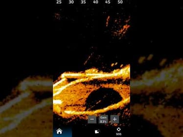 Fish stacked at an underwater train tunnel 🚂🐟 Unreal detail with @Garmin LiveScope 🎣