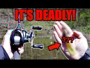 The Soft Plastic the Pros DON'T Want You to Know!