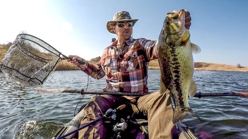 Looking For Those Largies!