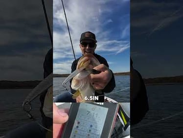 Big Flutter Spoon strikes again!