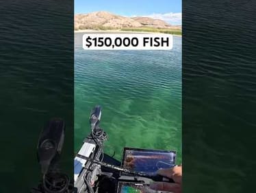 $150,000 Fish on the Line and this happens… #bassfishing #fishing