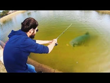 This MONSTER was in a CITY POND!? (INSANE)