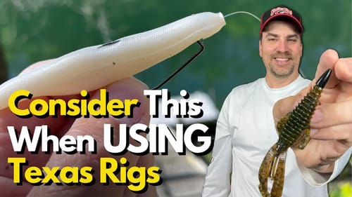Always Consider This When Texas Rig Fishing